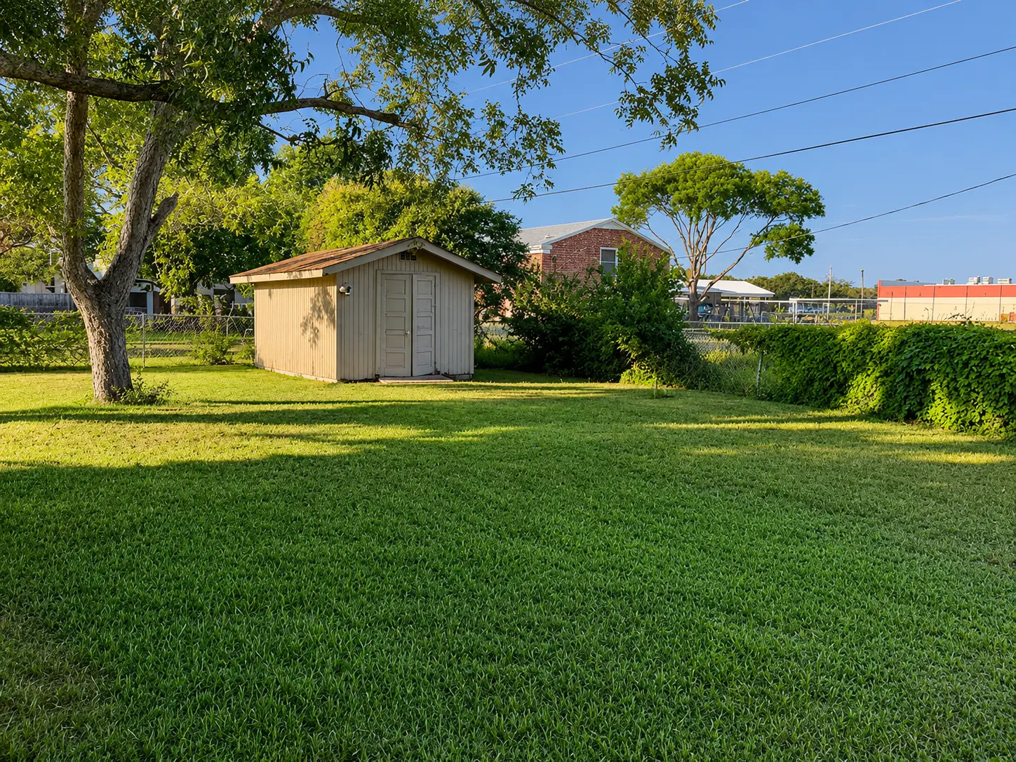 Real Austin Yard Oasis residential project photo: a neatly maintained backyard lawn with shed and mature trees in Austin, TX