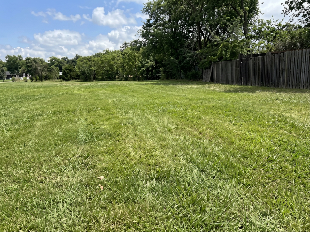 Enclosed lot lawn mowing project completed by Austin Yard Oasis in Austin, TX