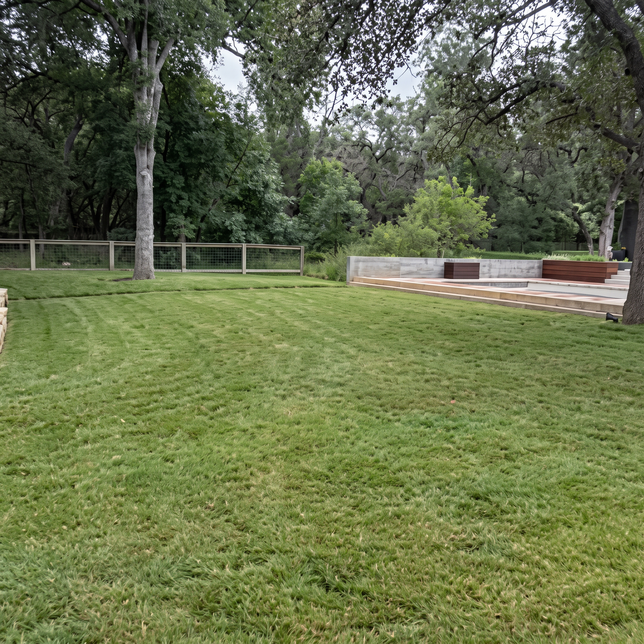 Backyard lawn care project completed by Austin Yard Oasis in Austin, TX