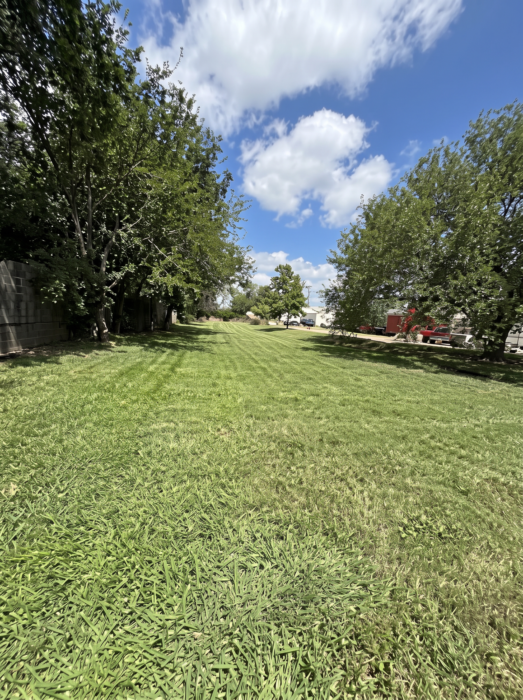 Open lawn mowing project completed by Austin Yard Oasis in Austin, TX
