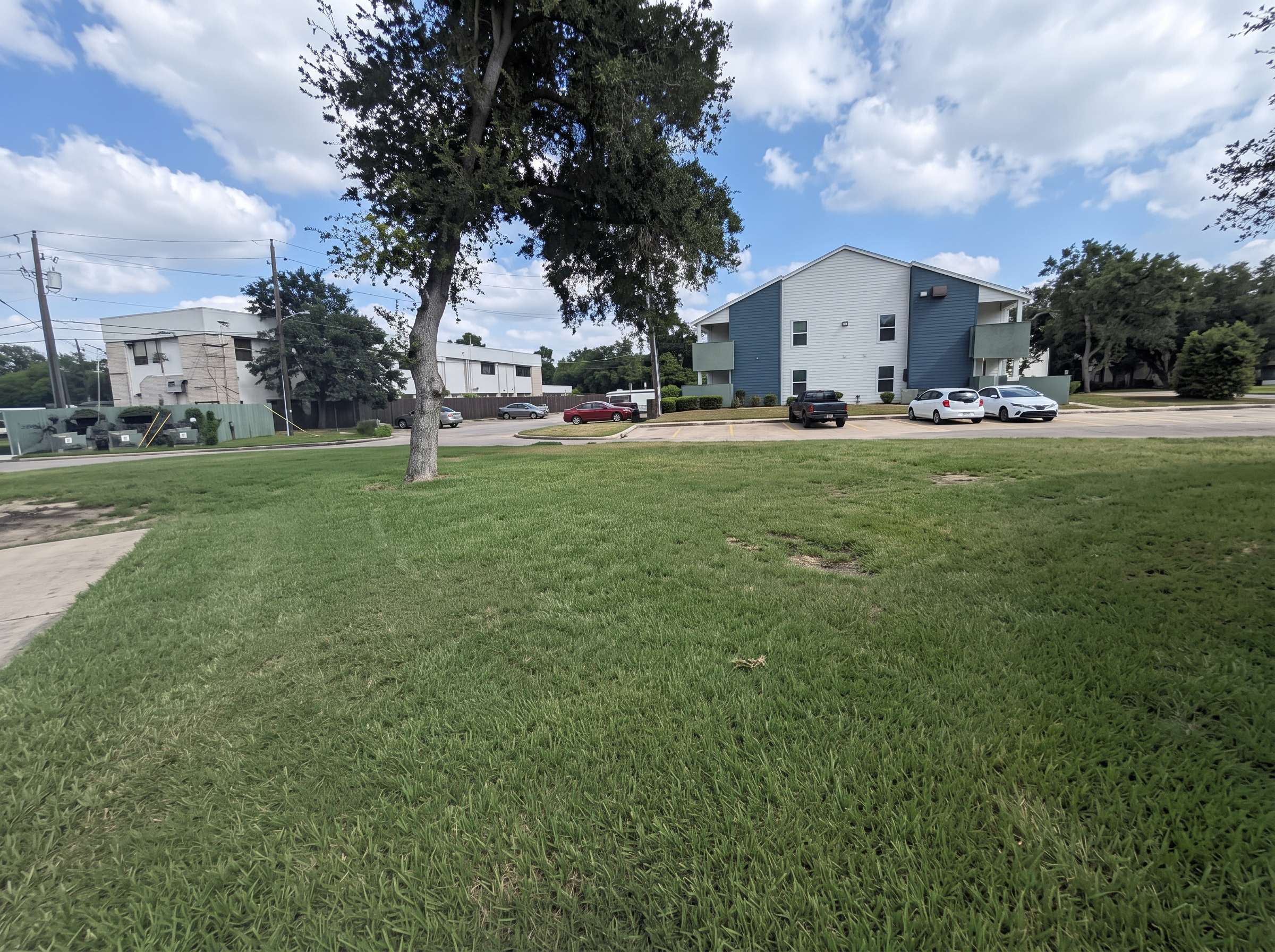 Hoa common area lawn project completed by Austin Yard Oasis in Austin, TX