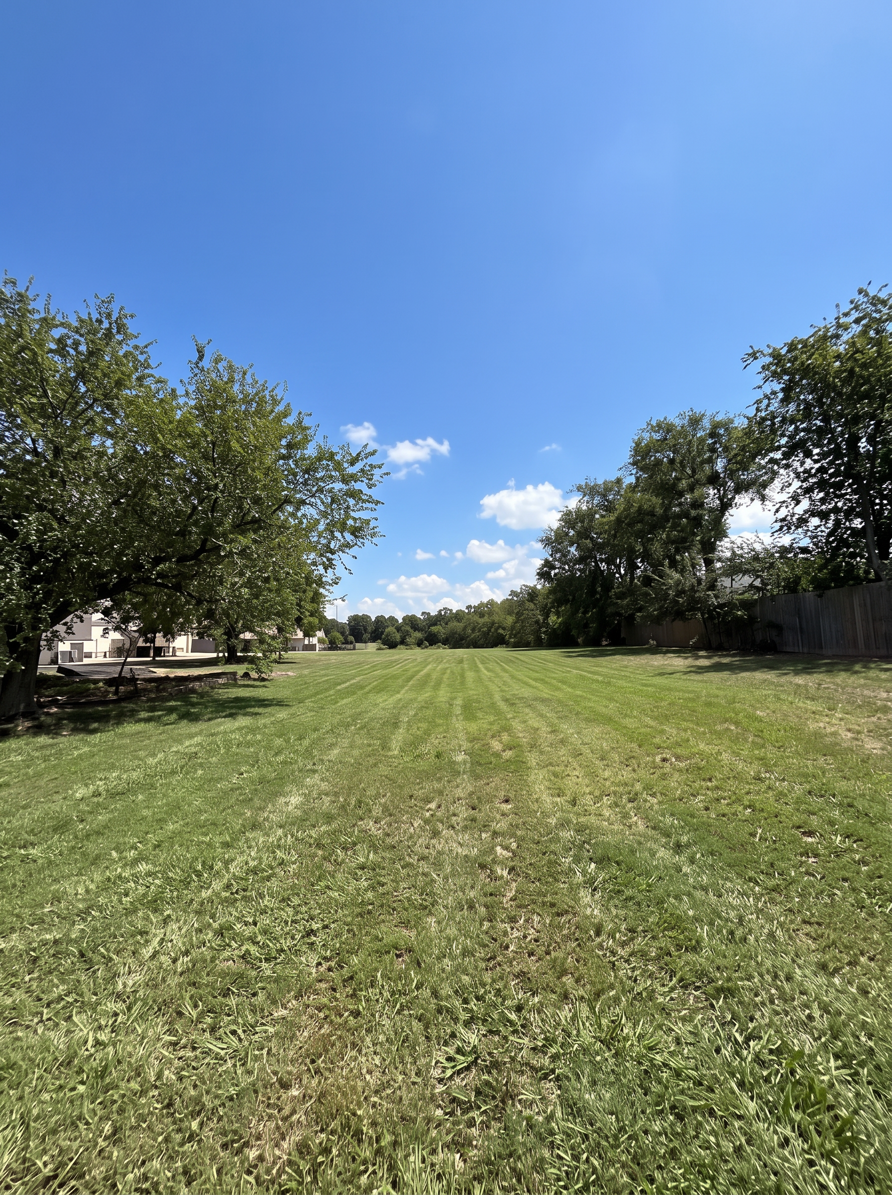 Mowed lawn stripes project completed by Austin Yard Oasis in Austin, TX