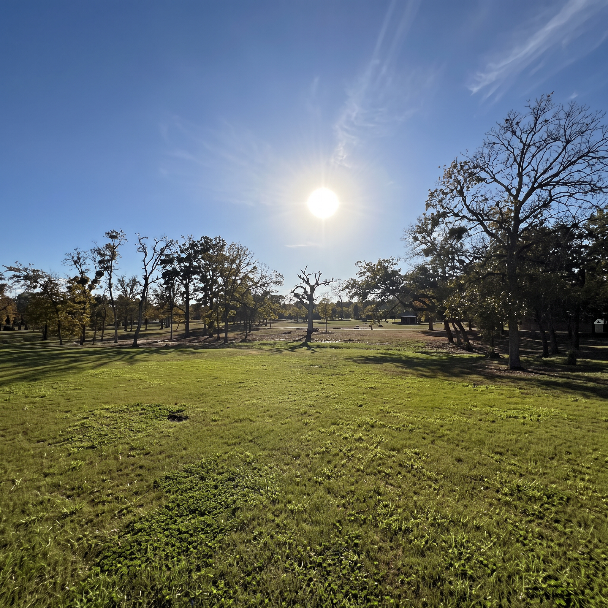 Sunlit lawn mowing project completed by Austin Yard Oasis in Austin, TX