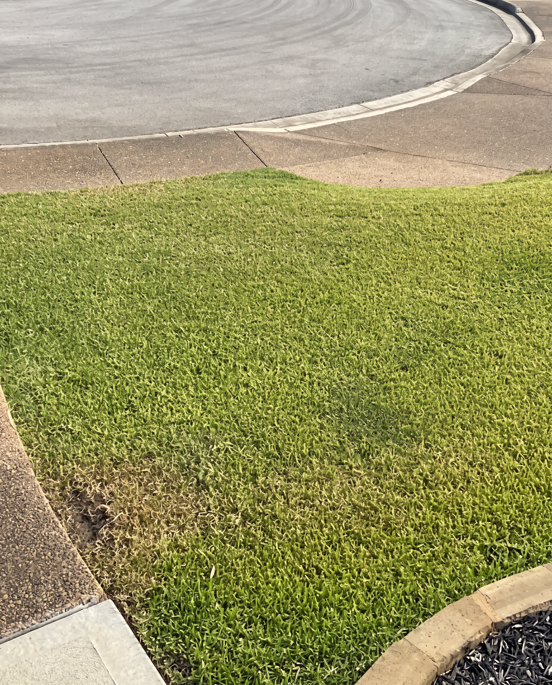 Lawn edging driveway project completed by Austin Yard Oasis in Austin, TX