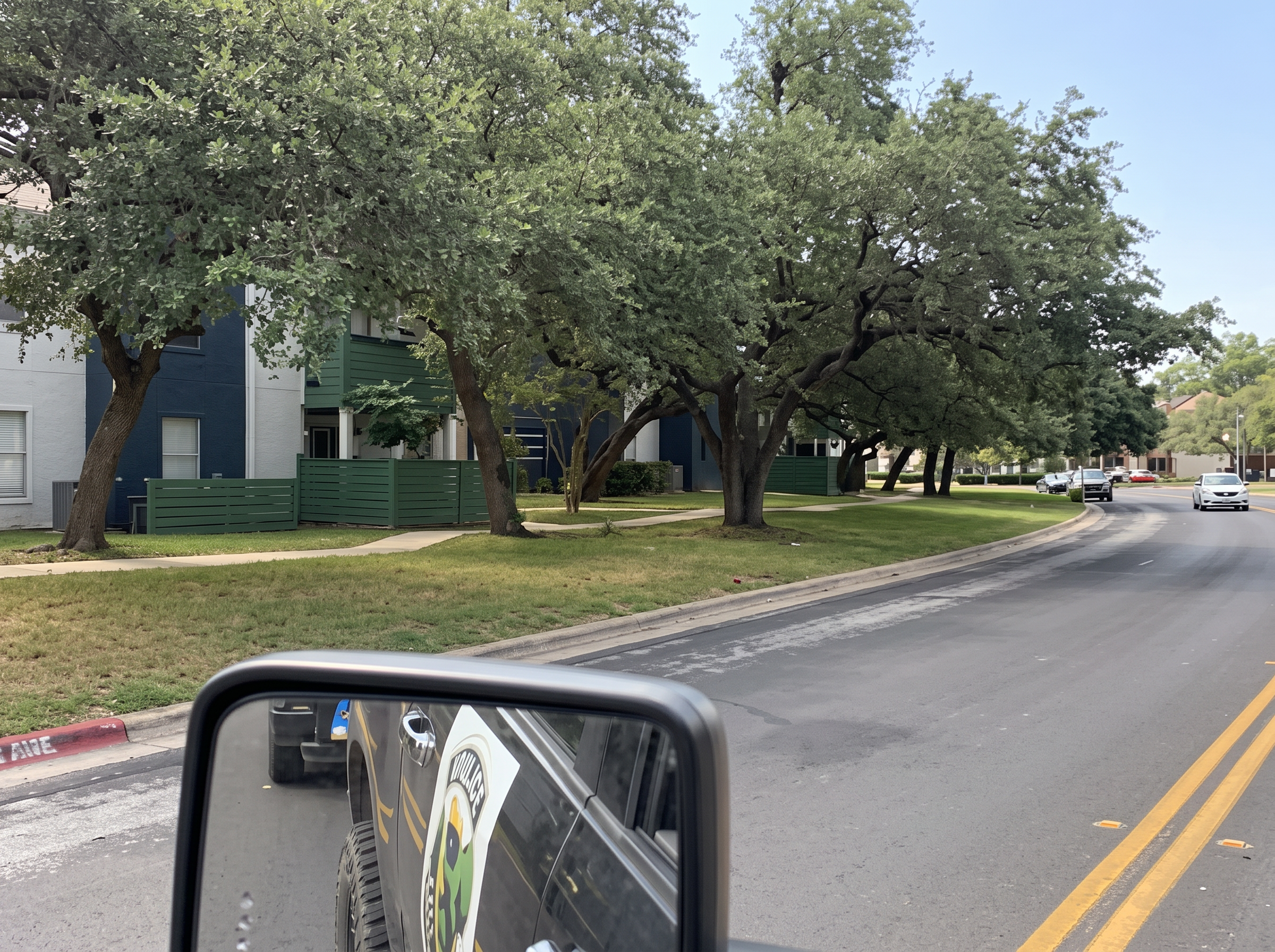 Tree lined street lawn care project completed by Austin Yard Oasis in Austin, TX